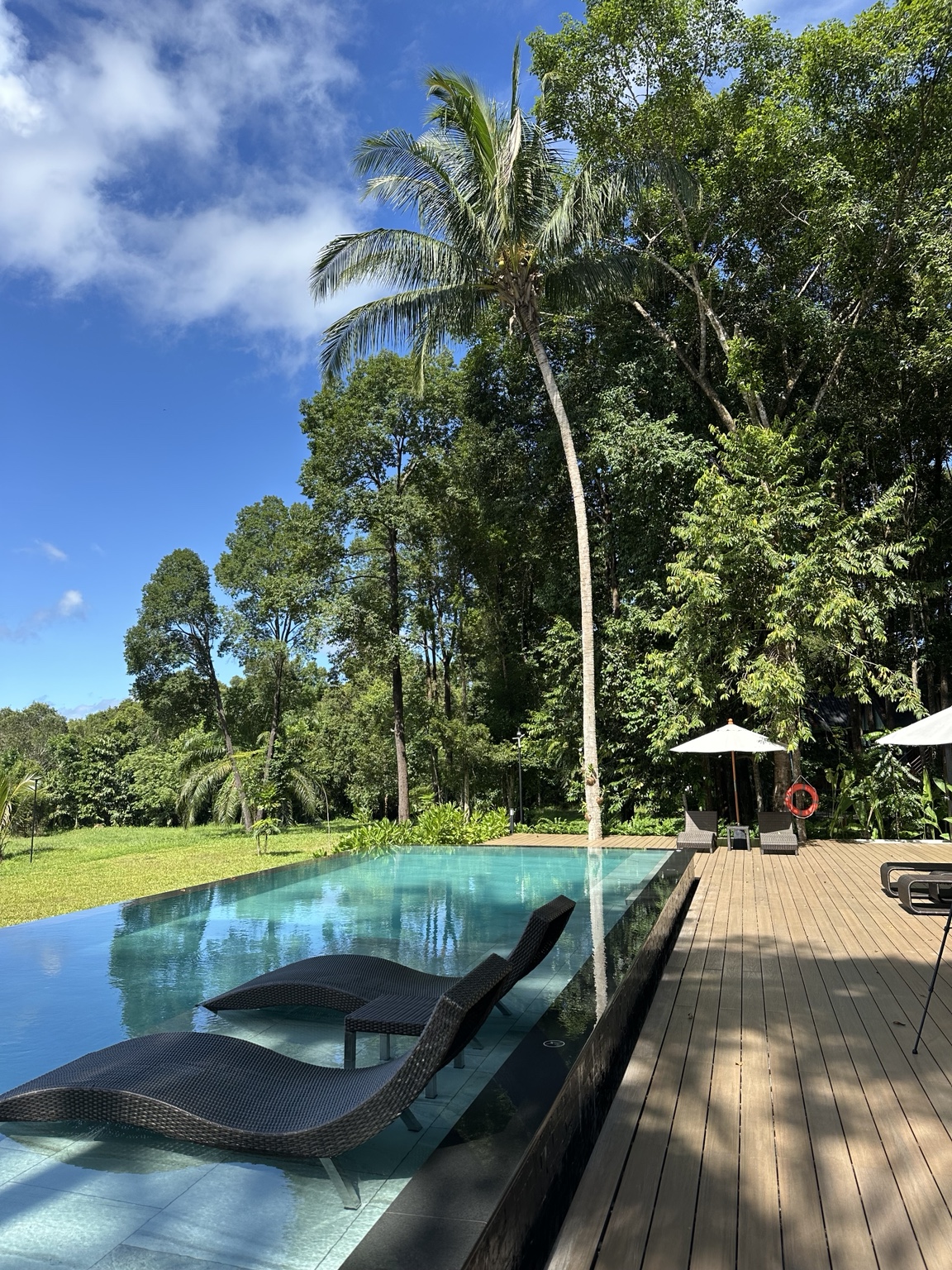 Resort pool beside lush tropical greenery